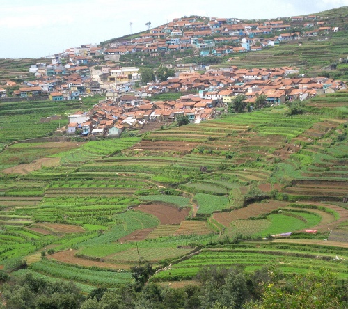 medaus mėnesio vietos Kodaikanal