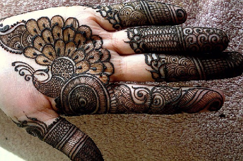 Povas Palm Mehndi