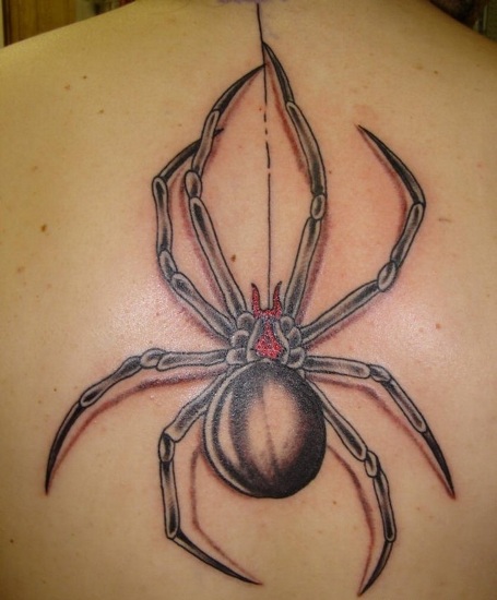 Genčių vorų tatuiruotės dizainas