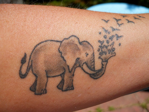 Indijos dramblio tatuiruotės dizainas
