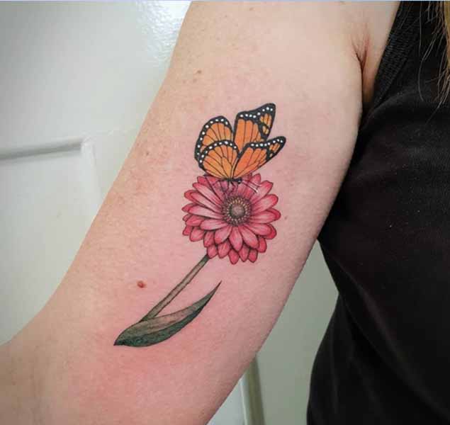 Gerberos gėlių tatuiruotės dizainas su drugeliu