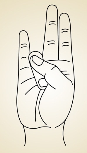 Surya Mudra