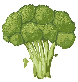 Brokolių sultys
