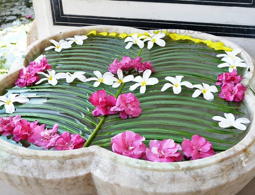 Palmiye Yaprağı Çiçekli Rangoli Tasarım