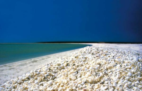 ομορφότερες παραλίες παγκοσμίως κέλυφος της Αυστραλίας