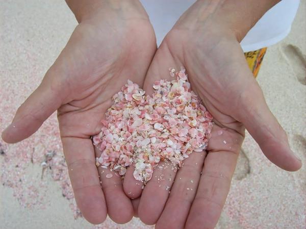 πιο όμορφες παραλίες παγκοσμίως Μπαχάμες ροζ άμμος