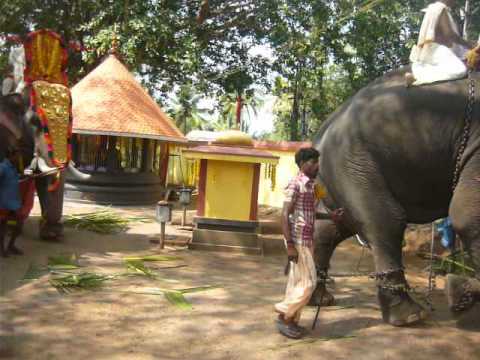 Edava Palakkavu Bhagavathi šventykla Edavoje