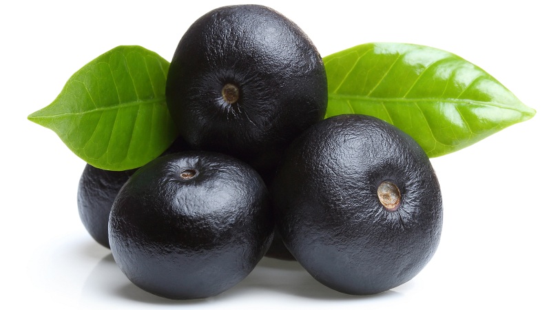 Acai uogų nauda