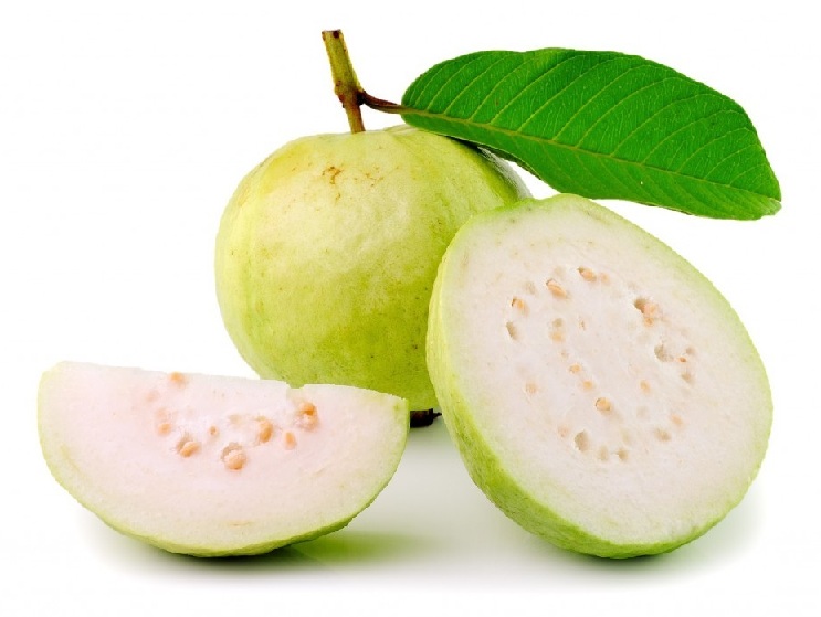 Guava Sağlık Faydaları