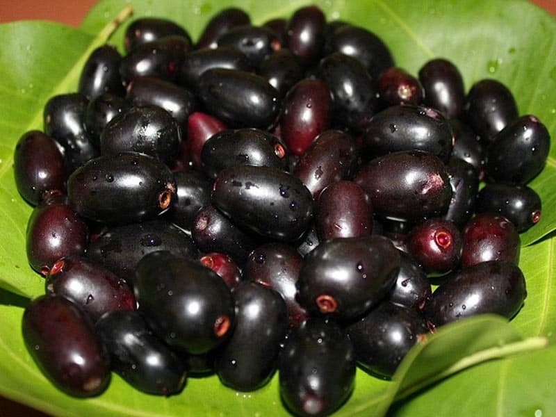 „Jamun Fruit“ nauda