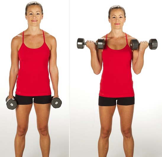 Biceps Curl - koltuk altı egzersizleri