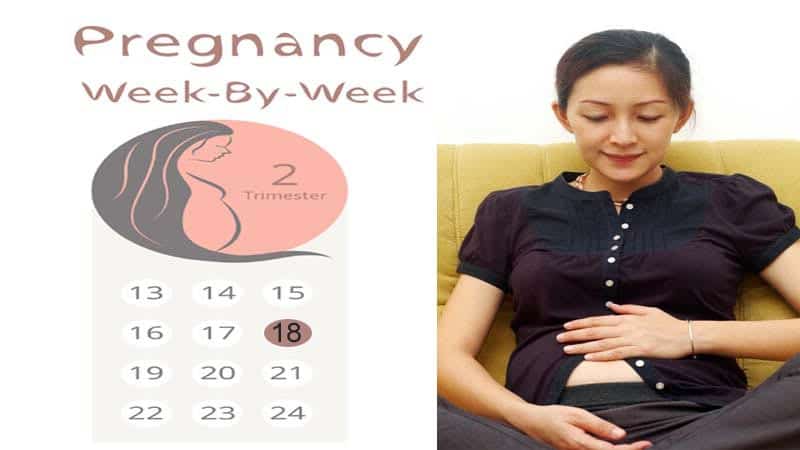 on sekiz haftalık hamile