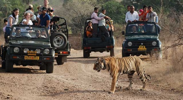 jim-corbett-national-park_nainital-tourist-places