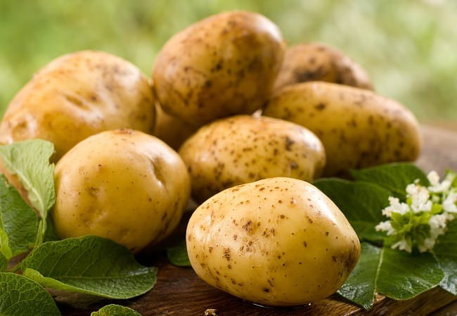 Bulvių maistas, kuriame yra daug tirpių skaidulų