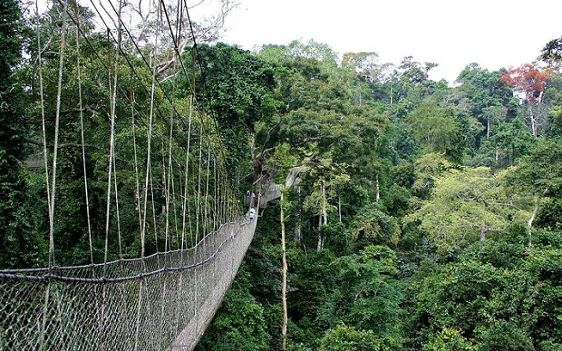 taman-negara_malaysia-tourist-places