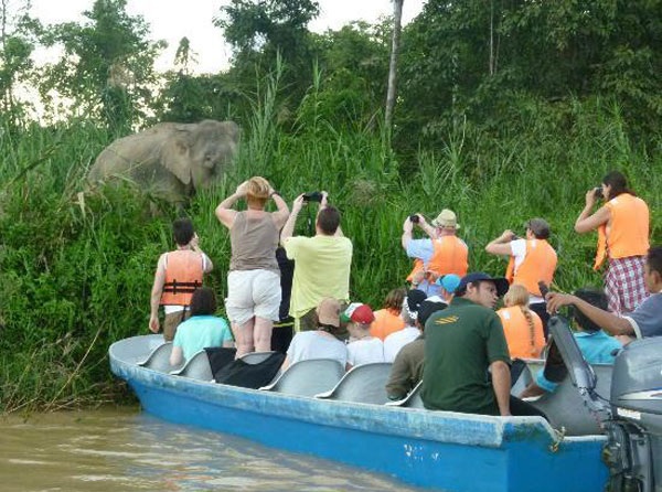 kinabatangan-river_malaysia