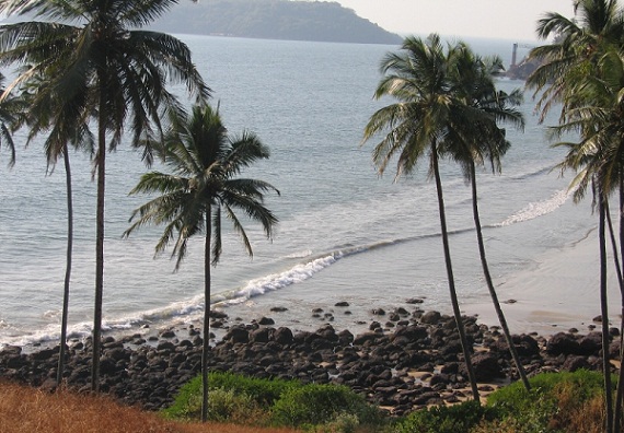 Benaulim Plajı Goa