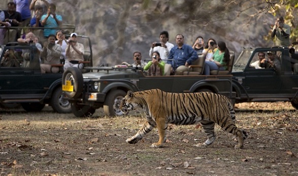 Ranthambore nacionalinis parkas