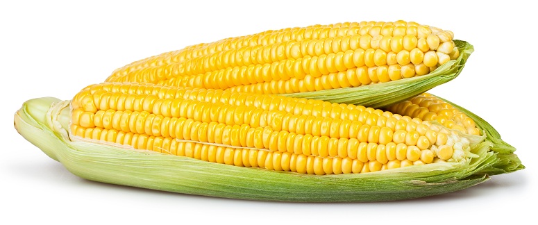 proteinli sebzeler