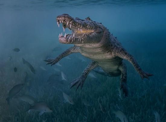 2018 Ocean Art Contest 2η θέση Antonio Pastrana 