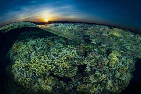 2018 Ocean Art Contest 2η θέση Tobias Friedrich 