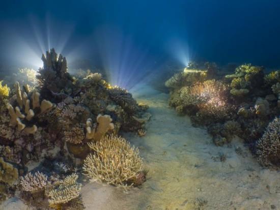 2018 Ocean Art Contest 3η θέση Alex Lindbloom 