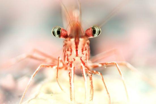 2018 Ocean Art Contest 3η θέση Doris Vierkötter 