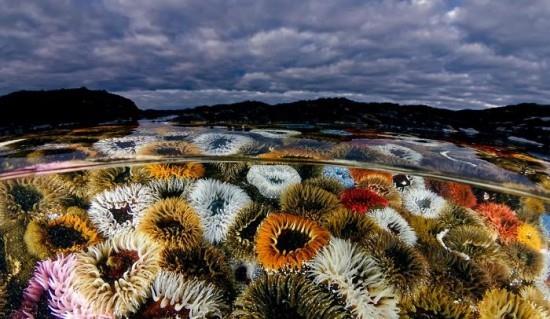 Διαγωνισμός Ocean Art 2018 4η θέση Geo Cloete 