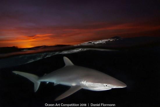 2018 Ocean Art Contest 6η θέση Daniel Flormann 