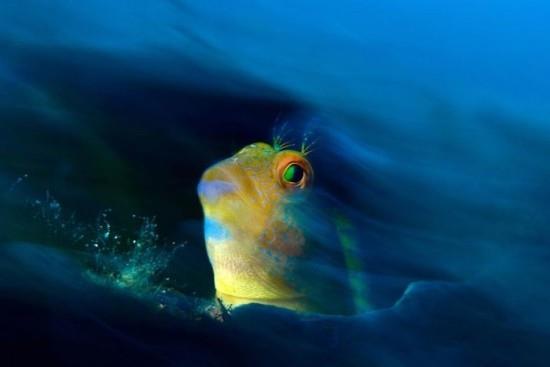 2018 Ocean Art Contest 6η θέση Stefano Proakis 