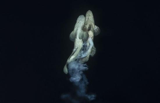 Διαγωνισμός Ocean Art 2018 Richard Barnden 