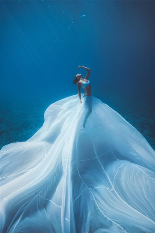 2020 Tokyo International Photo Awards - Οι 20 καλύτερες νικηφόρες φωτογραφίες της βασίλισσας της χρονιάς κάτω από το νερό