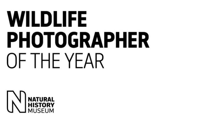 2020 Άγριας Ζωής Φωτογράφος της Χρονιάς λογότυπο μουσείο Λονδίνο