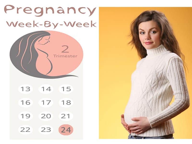 24 haftalık hamile