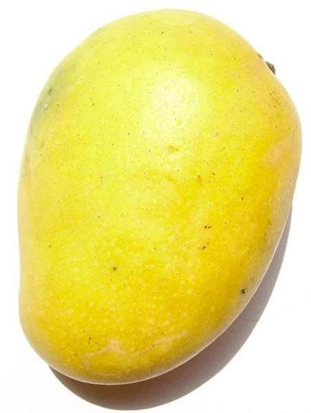 mango vaisių nauda
