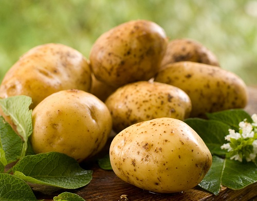 Patates ve Salatalık