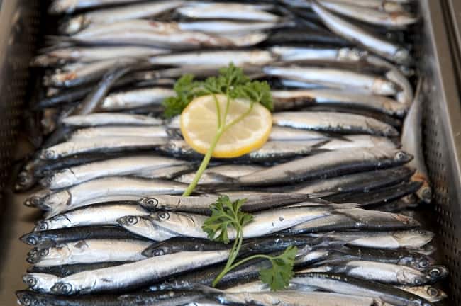 turtingas omega 3 šaltinis