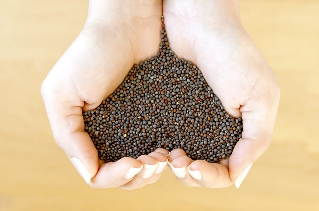 Garstyčių sėklos, kuriose gausu omega 3