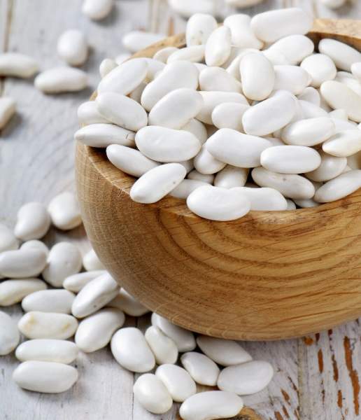 vejetaryen protein kaynakları