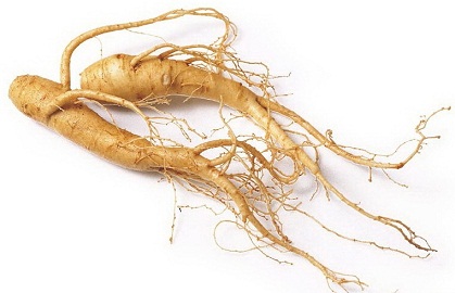 Doğal Kilo Kaybı İçin Ginseng