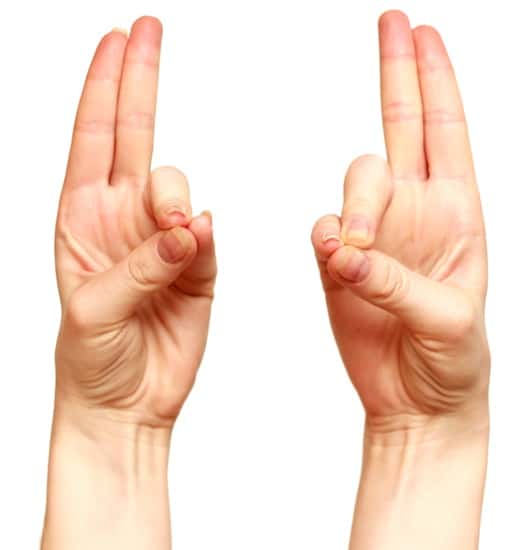 Pranas Mudra