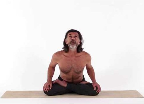 Bhujangini Mudra Yogası