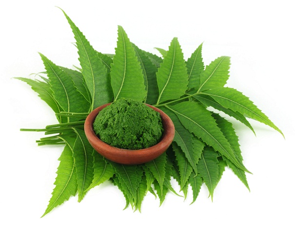 Neem lapai nuo spuogų