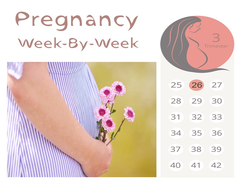 26 haftalık hamilelik