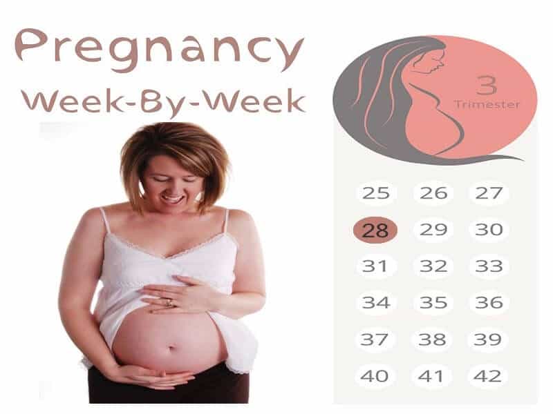 28 haftalık hamile