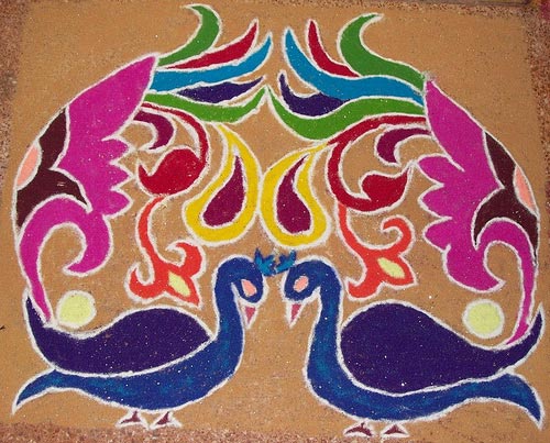 Tavus Kuşu Rangoli Muhteşem Çifti