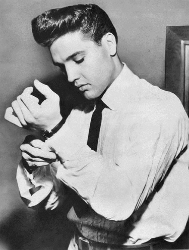 Elvis Pompadour