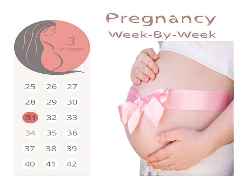 31 haftalık hamile