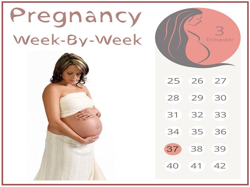 37 -oji nėštumo savaitė