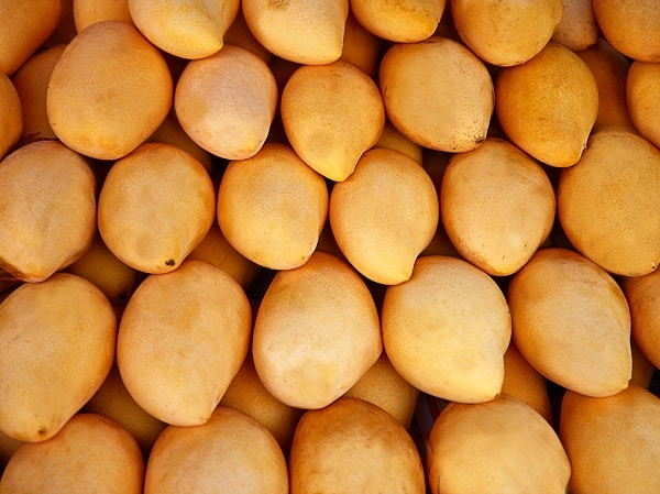 Bol Sulu Lezzetli Mango Satışta